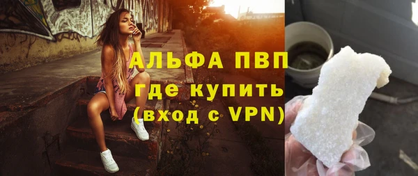 индика Горнозаводск