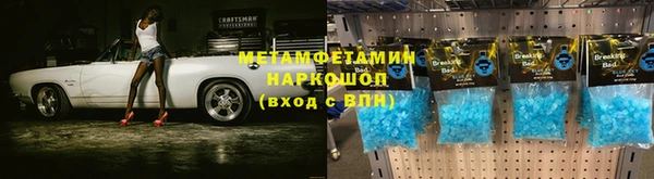 индика Горнозаводск