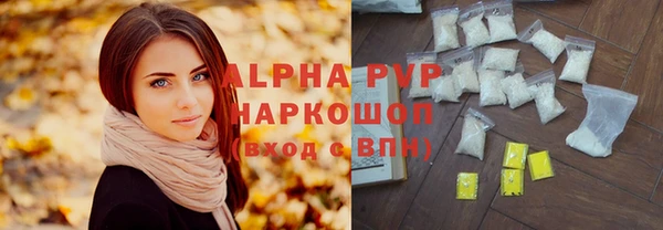 индика Горнозаводск