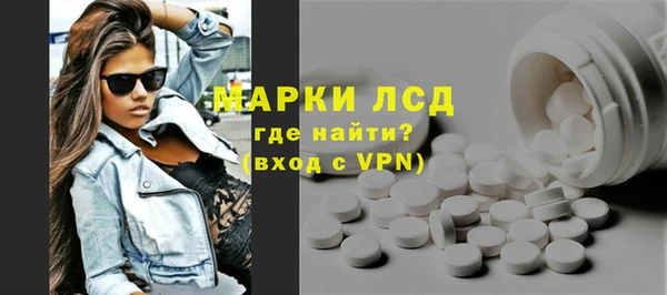 индика Горнозаводск