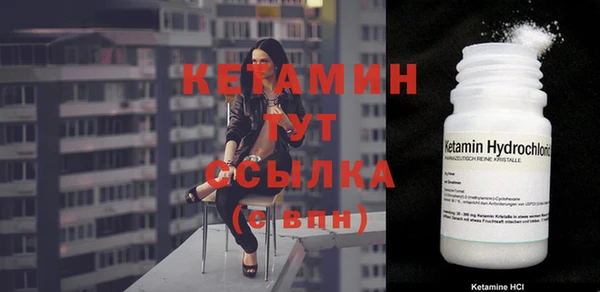 индика Горнозаводск