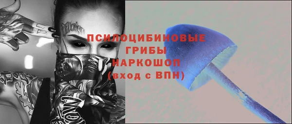 мяу мяу мука Горно-Алтайск