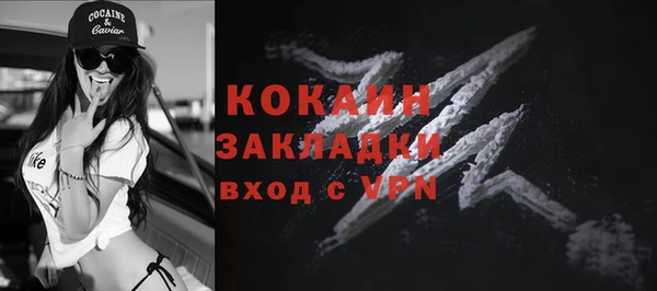 индика Горнозаводск