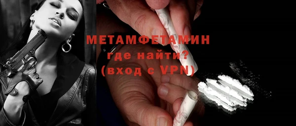 индика Горнозаводск