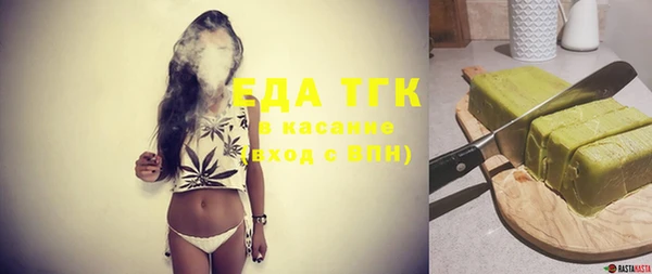 индика Горнозаводск