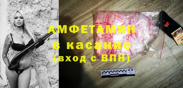 индика Горнозаводск