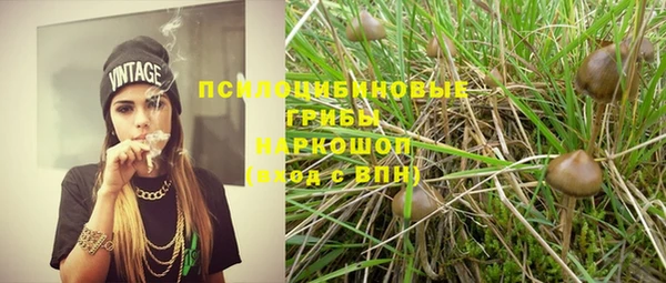 мяу мяу мука Горно-Алтайск