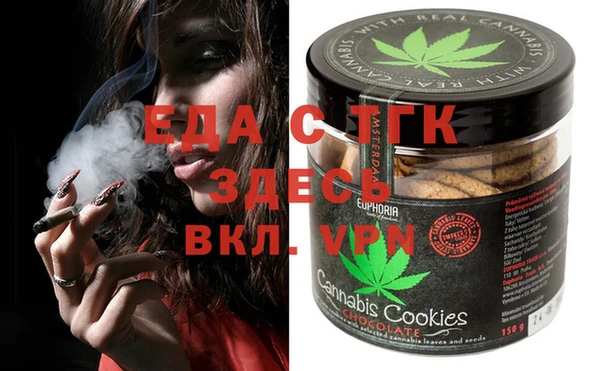 индика Горнозаводск