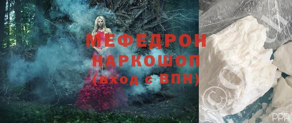 индика Горнозаводск