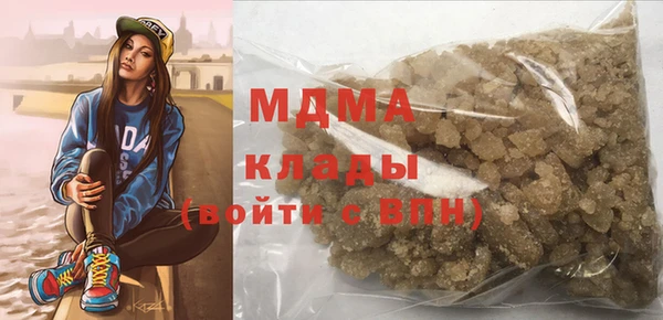 индика Горнозаводск