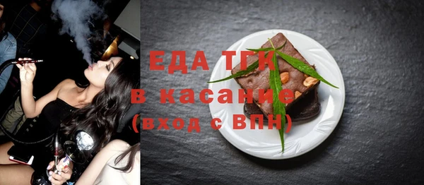 индика Горнозаводск