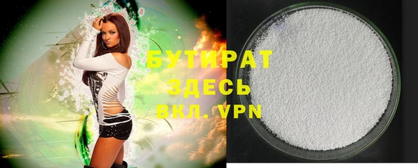 индика Горнозаводск
