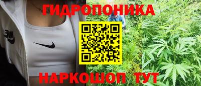 тгк Дубна