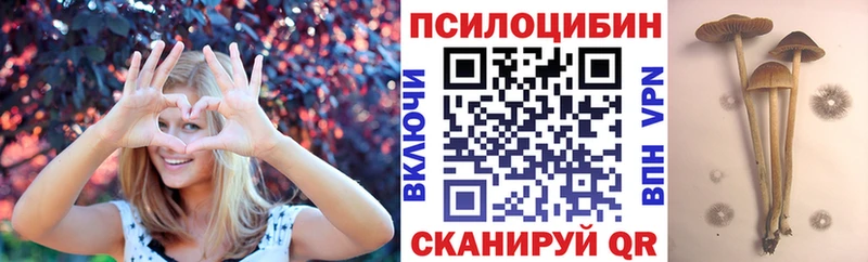 Псилоцибиновые грибы ЛСД  Ефремов 