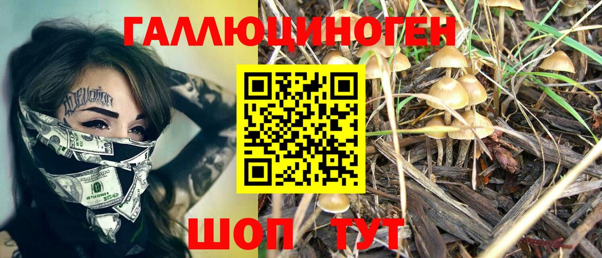 Галлюциногенные грибы MAGIC MUSHROOMS  Псилоцибиновые грибы Psilocybe  Ефремов 